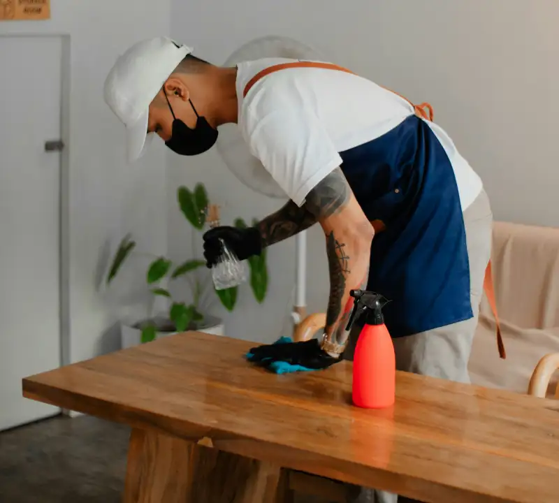 professional house cleaning detail