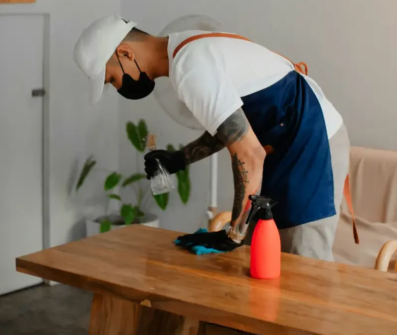 Deep Cleaning vs. Regular Cleaning for Utah Homes